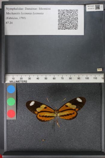 Media type: image;   Entomology 108773